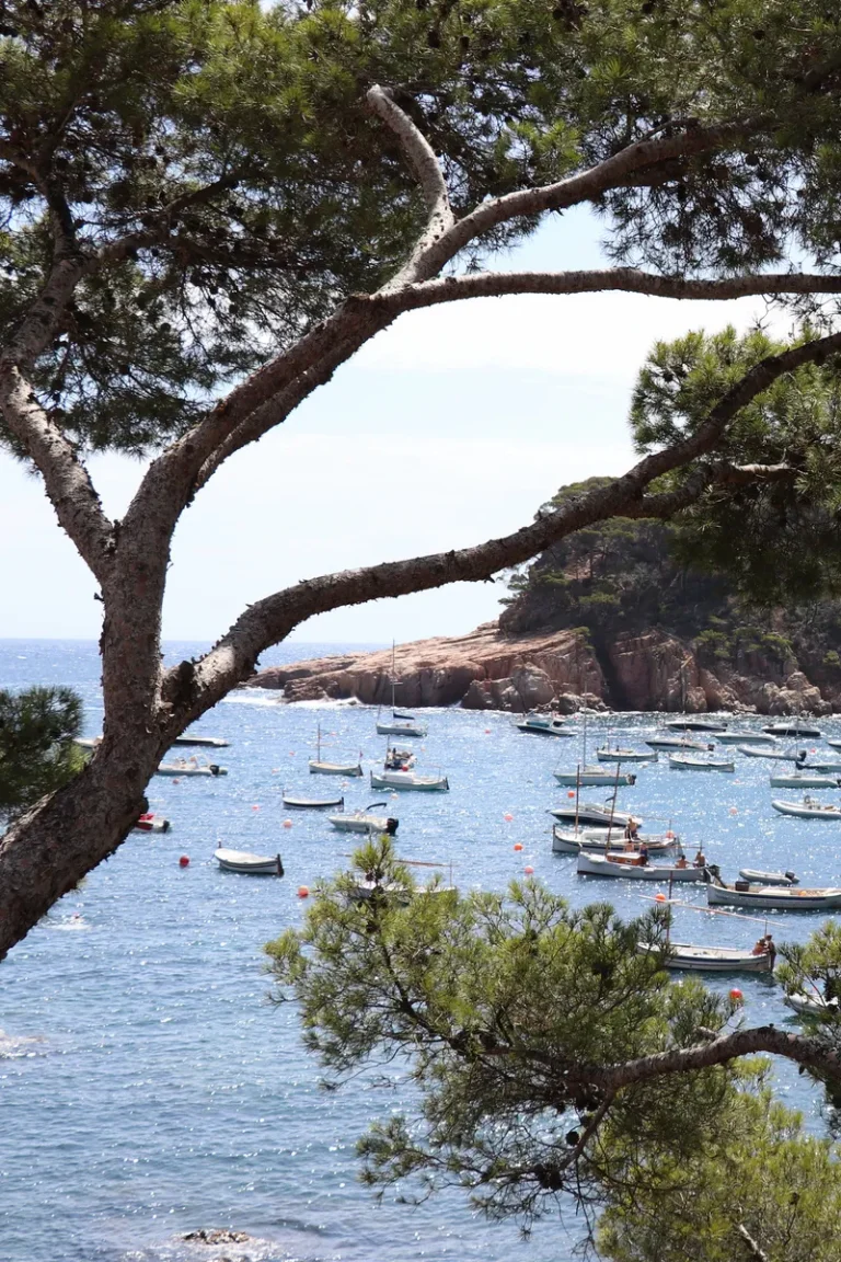Begur